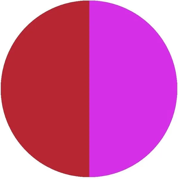 CC3D CC3D Temperature Color Changing PLA Filament 1KG 3D Printer Filament Wine Red to Light Purple