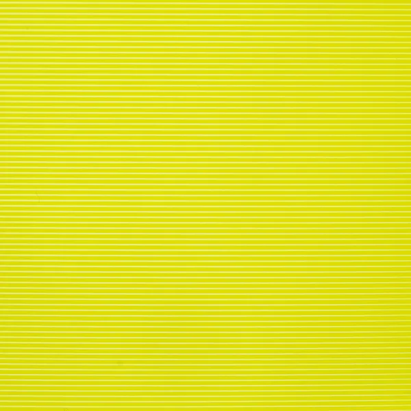 Printed Solid Jessie Premium PETG X Neon Yellow 1kg